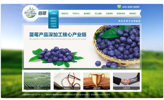 襄陽(yáng)佰蒂生物科技 驅(qū)動(dòng)現(xiàn)代農(nóng)業(yè)的綠色引擎
