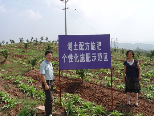 四川省農(nóng)業(yè)科學(xué)院遙感應(yīng)用研究所與國(guó)家現(xiàn)代農(nóng)業(yè)產(chǎn)業(yè)技術(shù)體系四川創(chuàng)新團(tuán)隊(duì)柑桔栽培技術(shù)崗位專家聯(lián)合簡(jiǎn)報(bào) 農(nóng)業(yè)種植技術(shù)開發(fā)新進(jìn)展