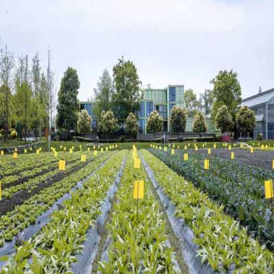 物聯網農業遠程智能控制 開啟溫室大棚種植新時代