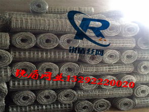 銳盾絲網(wǎng) 鍍鋅勾花網(wǎng)與煤礦支護(hù)網(wǎng)的品質(zhì)之選